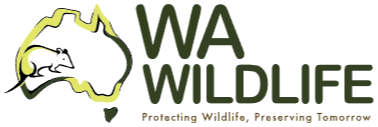 WA Wildlife