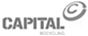capital